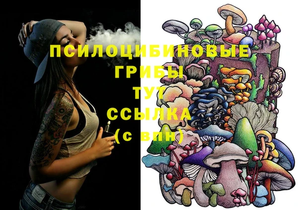 прущий лед Белокуриха