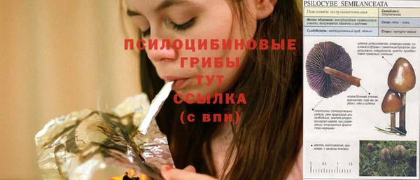 прущий лед Белокуриха